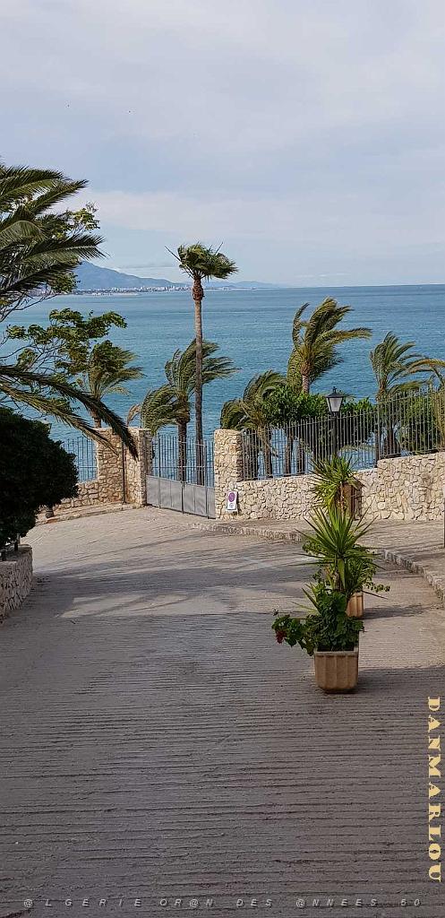 HOMMAGE A N.D. DE SANTA CRUZ A DALIAS DU 7 AU 10 JUIN 2019 (8).jpg